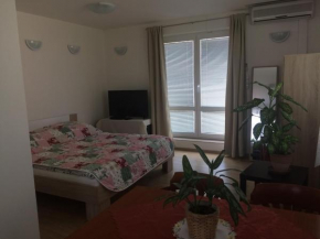 Apartment Praha 4